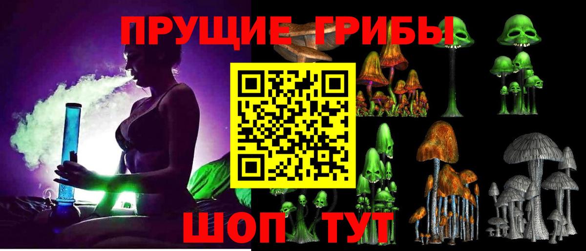 Галлюциногенные грибы Psilocybe  Вход с VPN  Серпухов 